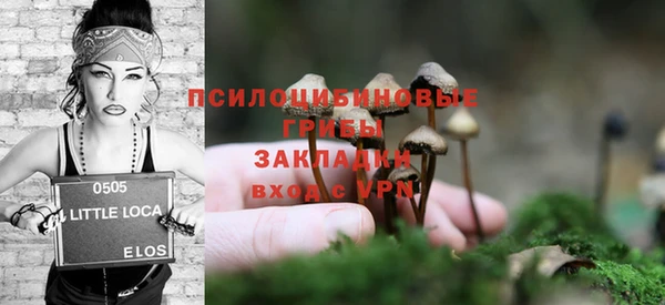 дмт Алзамай